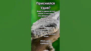 Приснился Удав?Что это значит!Толкование сна! #толкованиесна #толкованиеснов #сонник #удав