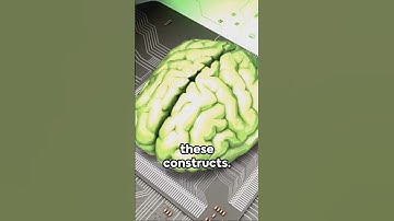 Brainwave: Memory Formation