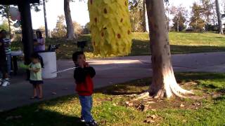 Colin vs Pineapple pinata