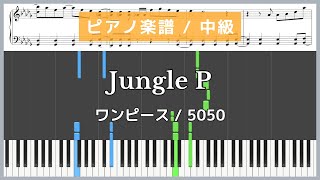 Jungle P (ONE PIECE(海贼王)) - 5050
