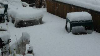 Snow in Mesquite Texas 20100211