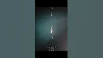 무늬오징어 원도권 팁런낚시 통영 뉴그린호 첫출조~마릿수 현장 분위기~