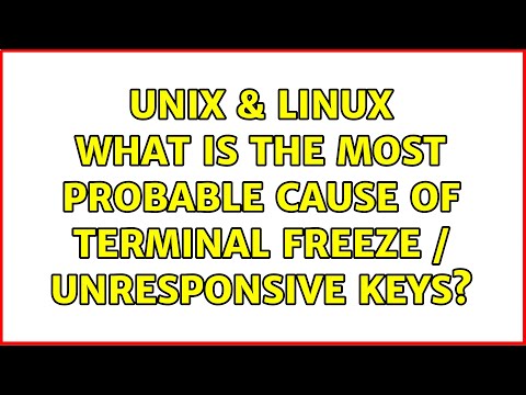 Unix & Linux: What is the most probable cause of terminal freeze / unresponsive keys?