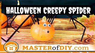 Halloween Decorations Spider Pumpkin Craft Information