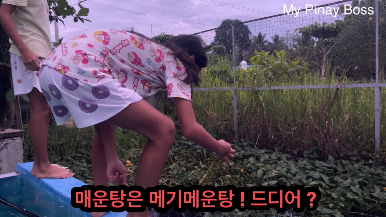 오늘은 짜장밥 내일은 메기 매운탕