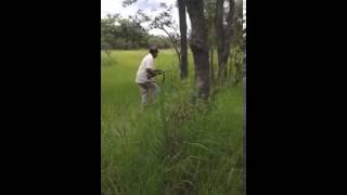 Zambian hunter