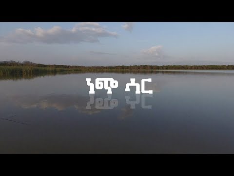 ቪዲዮ: ኤሌክትሪክ ሳር ማጨጃዎች-ምርጥ በራስ ተነሳሽነት እና በእጅ የተያዙ ሣር እና የሣር ማጨጃዎች ደረጃ። የትኛውን መምረጥ ነው? የባለቤት ግምገማዎች