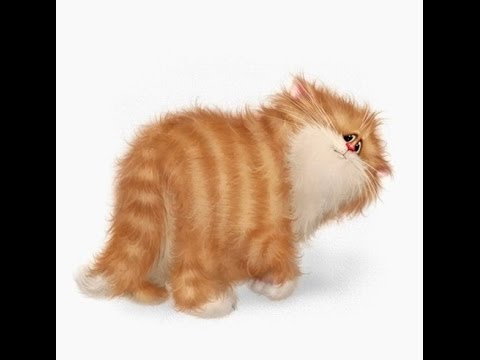 Вышивка бисером кот рыжий