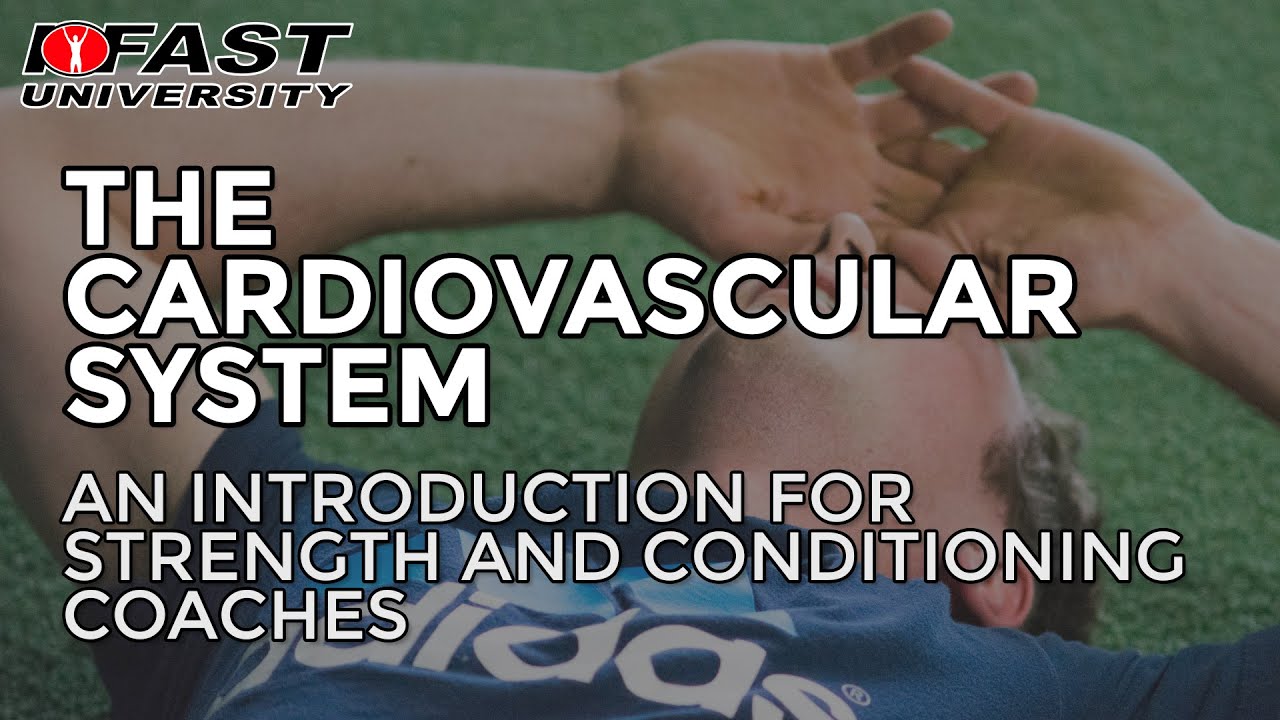 The Cardiovascular System An introduction for strength & conditioning