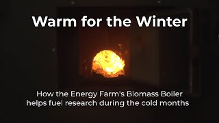 Biomass Boiler at Energy Farm