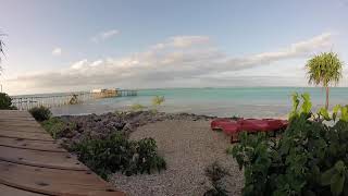 Gp030445 - Essque Zalu Zanzibar