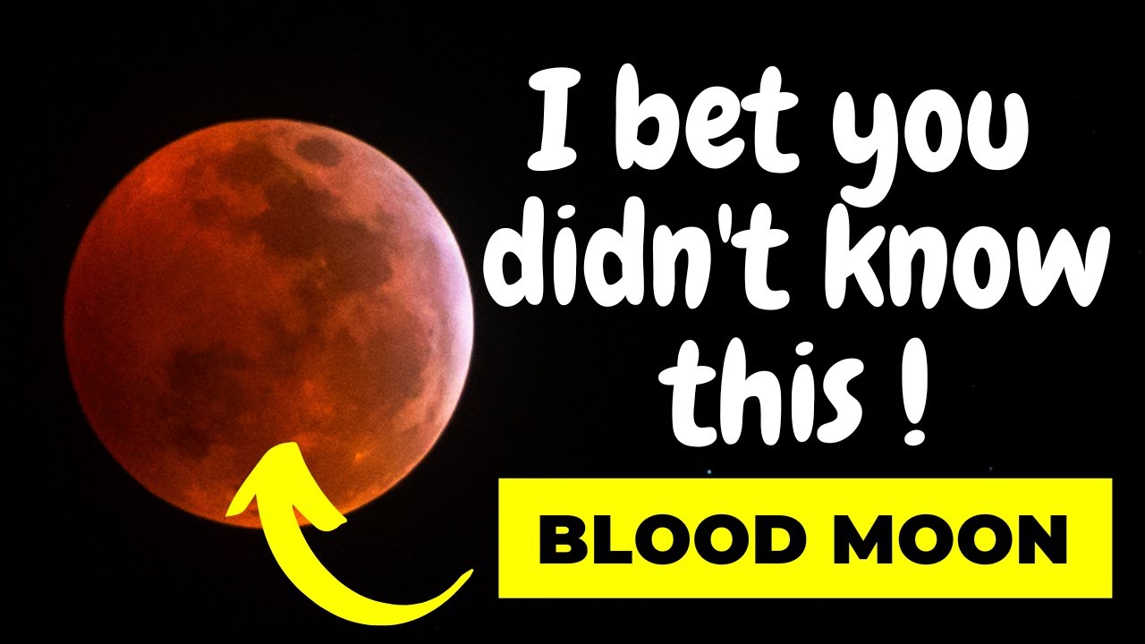 Blood Moon | lunar eclipse may 2022