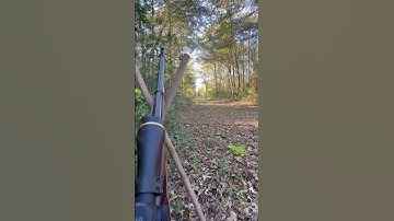 How far is TOO FAR?! (Marlin 336 30-30 Lever Action)