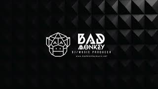 RADAR BY BAD MONKEY RADIO SHOW 041( Bass House / Tech House / Mainstage )