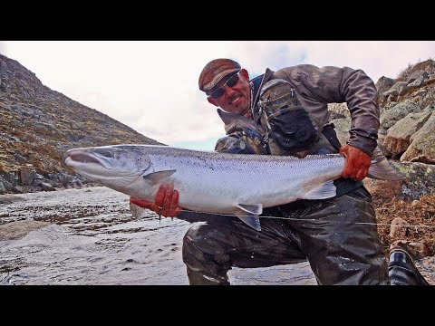 Video: Kola River - a unique place for fishing and recreation