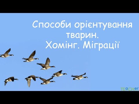 Способи орієнтування тварин. Хомінг. Міграції