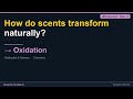 Oxidation | JEE Advanced Class 11 Chemistry | Synapse