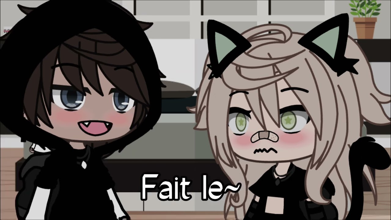 Lis juste la description en entière stp