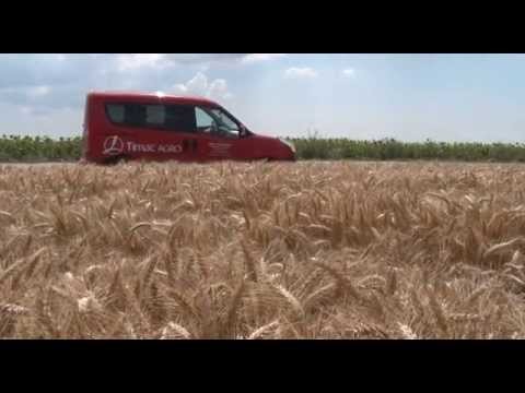 Predsetveno djubrenje psenice, za stabilan i visok prinos, Timac Agro   U nasem ataru 605