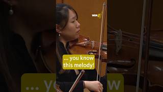 Download Lagu Restless with Wolferl #mozart #classicalmusic MP3