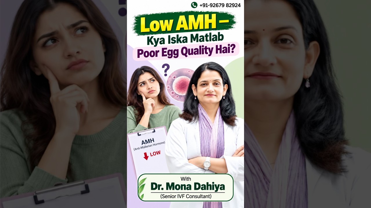 Does low AMH mean poor egg quality? Not necessarily!