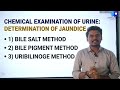 DETERMINATION OF JAUNDICE IN URINE|Bile Salt|Bile Pigment|Jaundice Symptoms| Jaundice in Newborn|