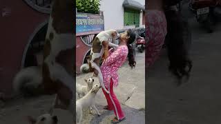 #dog #dogs #animal #pet #puppy #puppies #happy #enjoy #love #emotion #feedingdog #care #dogfeeding