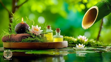 Relaxing Music for Stress Relief 🌿 Calming Music and Soothing Water Sound, Stress Relief, Deep Sleep