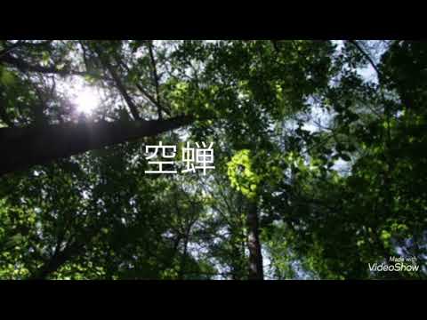空蝉　さだまさし　歌ってみた😊　Covered by KAZU