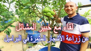 أسرار زراعة الاشجار المثمرة في البراميل مع خبير المشاتل