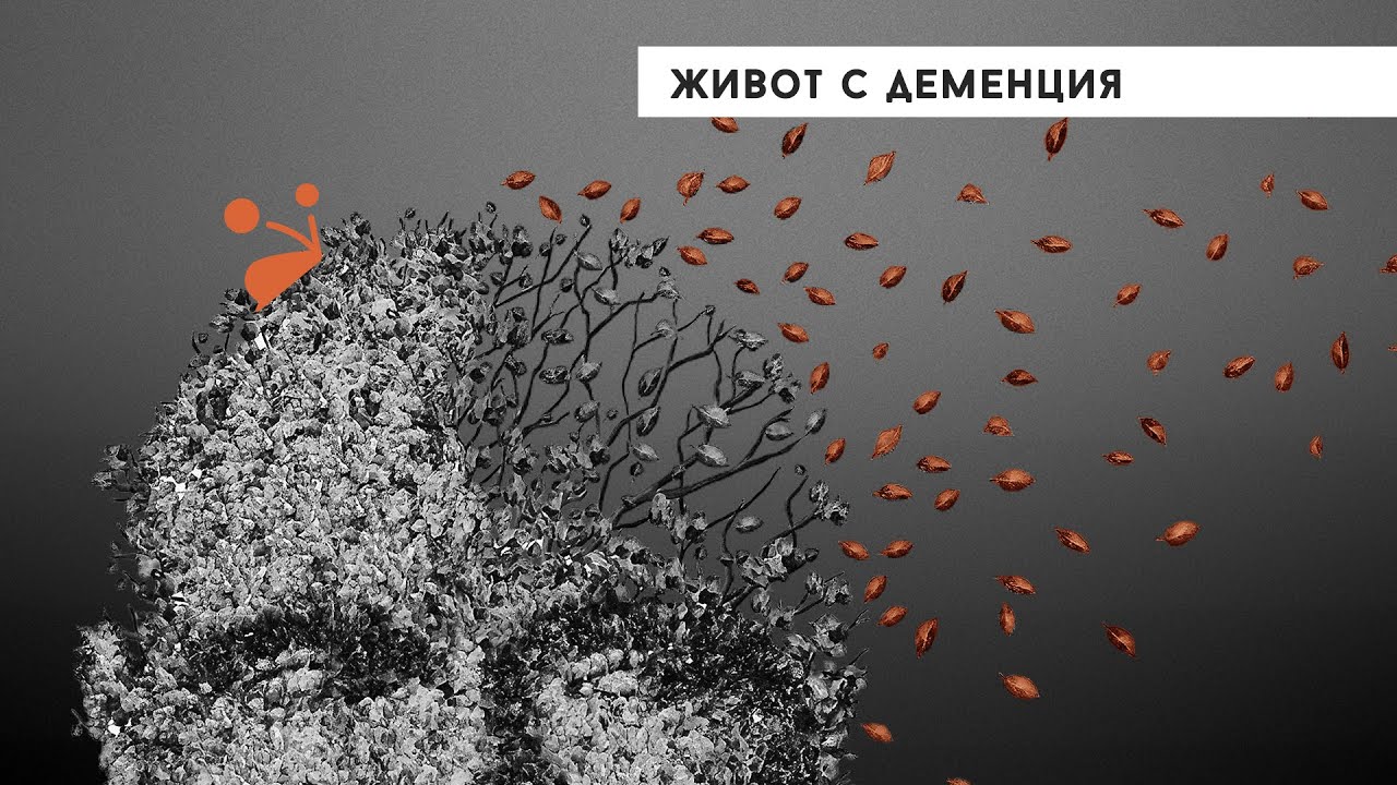 Живот с деменция [Vox Nihili със Стоян Ставру]
