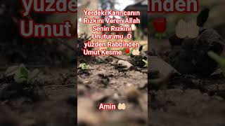 RABBİN SENİ UNUTMADI. #fyp#cennet#doa#hayalhanem#allah#yetim#hzmuhammed#shorts#aşk#keşfet#dua#şifa#1