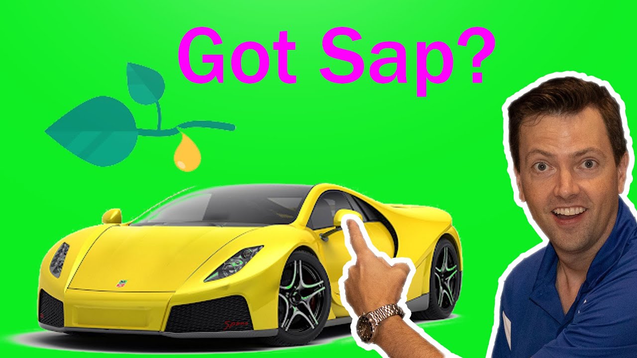 How to Remove Sap From Cars [1 Way] YouTube