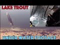 Ice Fishing Lake Trout on Lake Simcoe - Underwater Footage