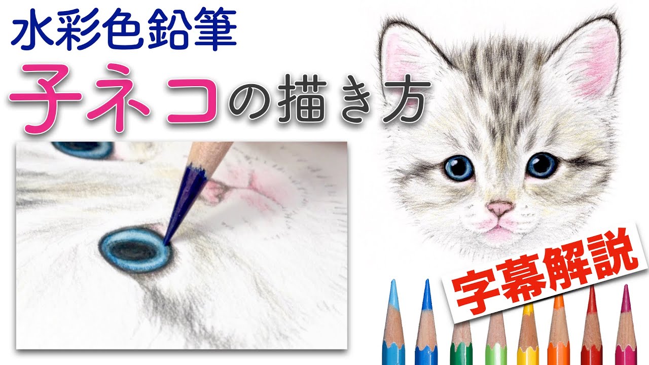 子猫の描き方 水彩色鉛筆 丸から描くリアルなネコの顔 How To Draw A Kitten With Watercolor Pencils Youtube