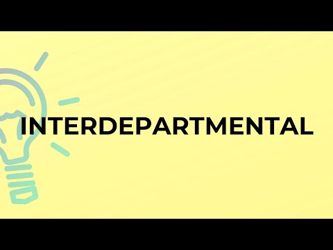 What is the meaning of the word INTERDEPARTMENTAL?