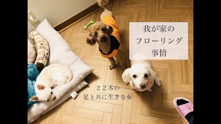 【犬５匹との暮らし〜我が家のフローリングの歴史〜】