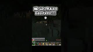 El error MÁS humillante de Minecraft 💀