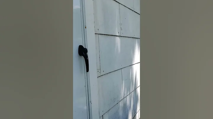 Wasp Nest taken over by ants @kimfeilgood June 6 2020