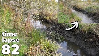 Manual Beaver Dam Removal No.82 - Time-Lapse Version