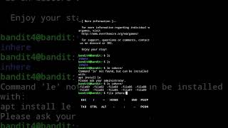 Finding Hidden Text in Linux (Bandit Level 4 in 45s)