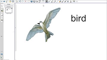 04 Undo and redo functions