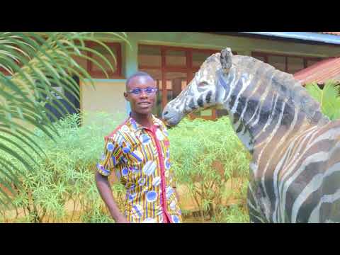 Official Video Uhimidiwe UKWATA Hwazi Secondary School