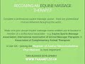 Equine Sports Massage Therapy - Training