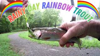 RAINY Day TROUT and Creek Chubs/ 2nd Trout FISHING Trip of the YEAR
