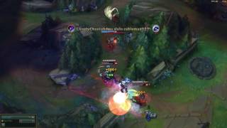 Nice Cait Play