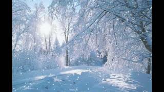 Claudiu de la Bistrita \u0026 Ilie Dan Crisan - Coborât-o Coborât colindã