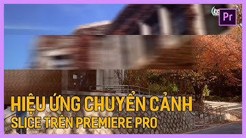 Hiệu ứng chuyển cảnh Premiere với Crop và Transform | Tú Thanh Blog