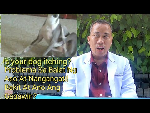 Video: 3 Paraan upang Makagawa ng laway