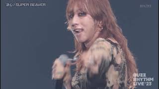 SUPER BEAVER ライブ BUZZ RHYTHM LIVE 2023